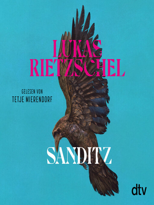 Cover image for Sanditz